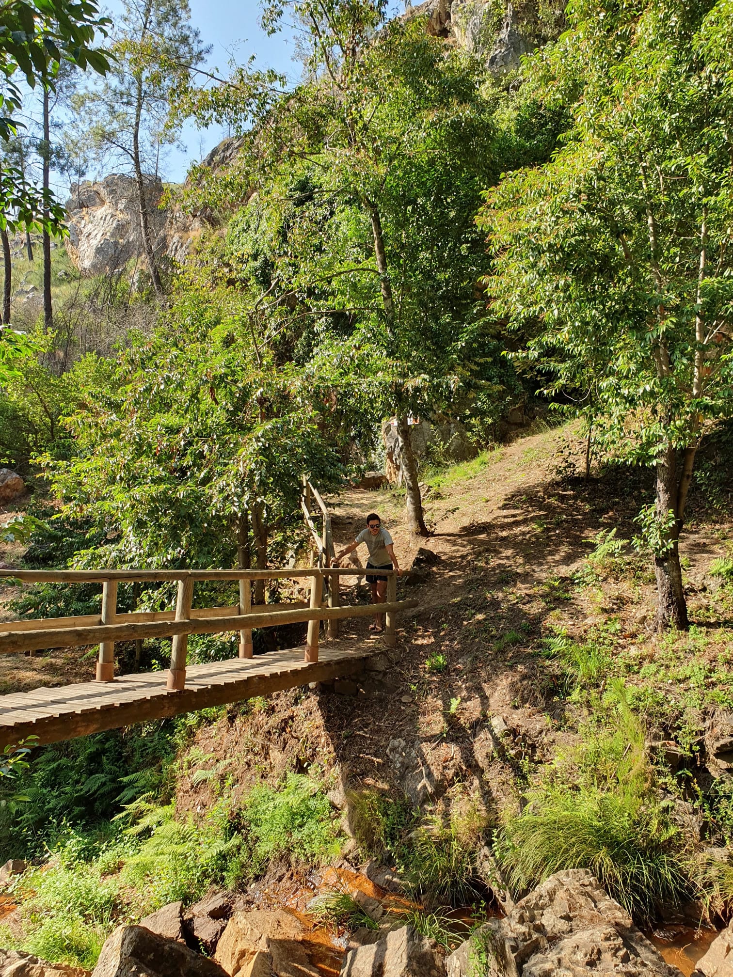 Ponte de madeira em trilho natural em Portugal